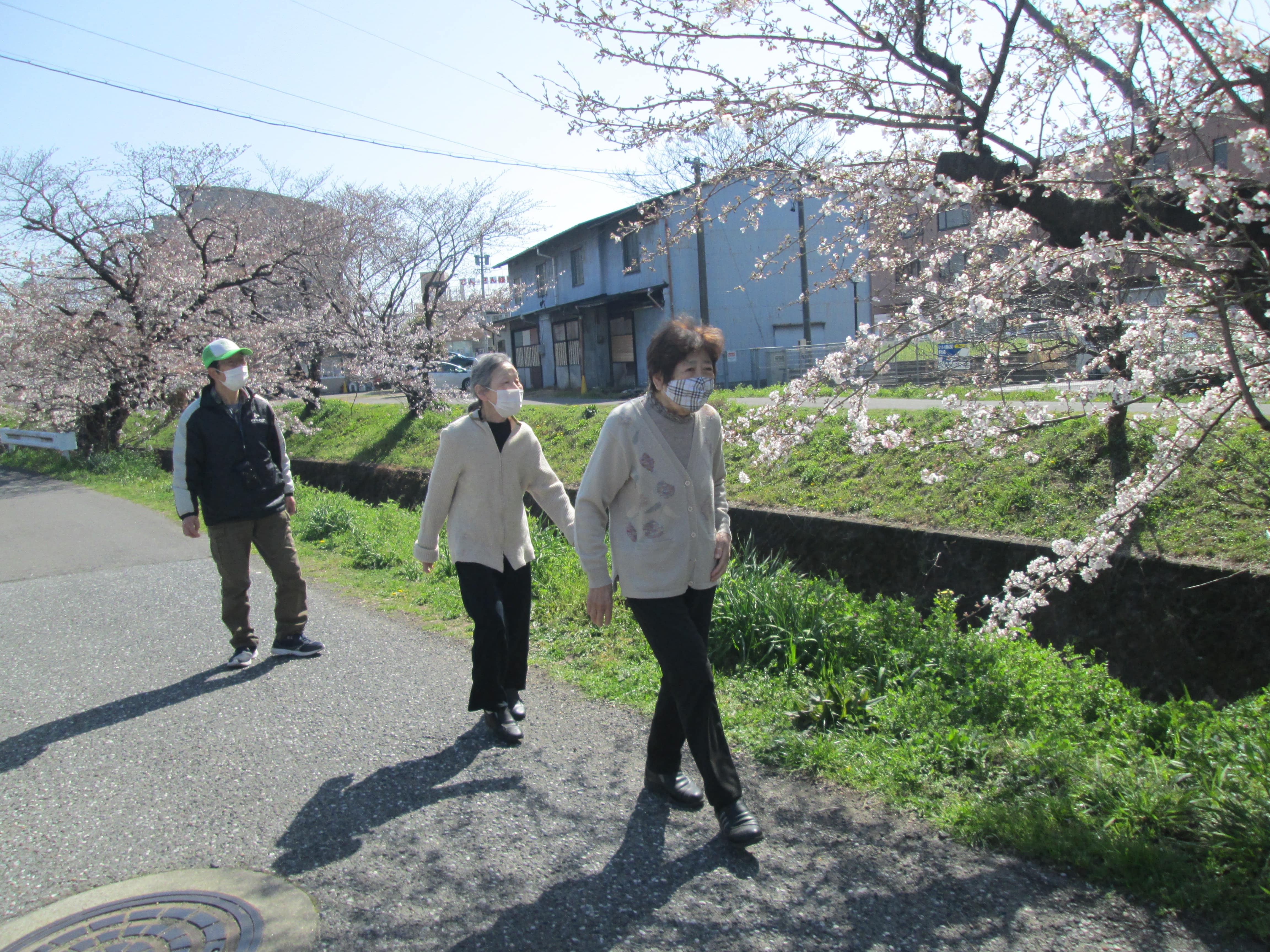 お花見